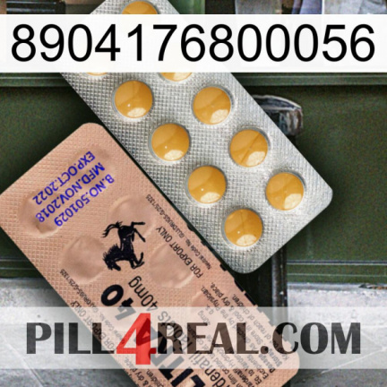 8904176800056 41